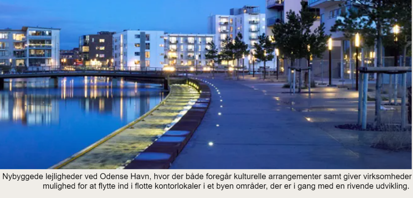 Odense Kommune og erhvervslivet styrker dialogen med etablering af Myndighedens Advisory Board