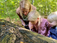 Børn lærer om biodiversitet med nyt natureventyr