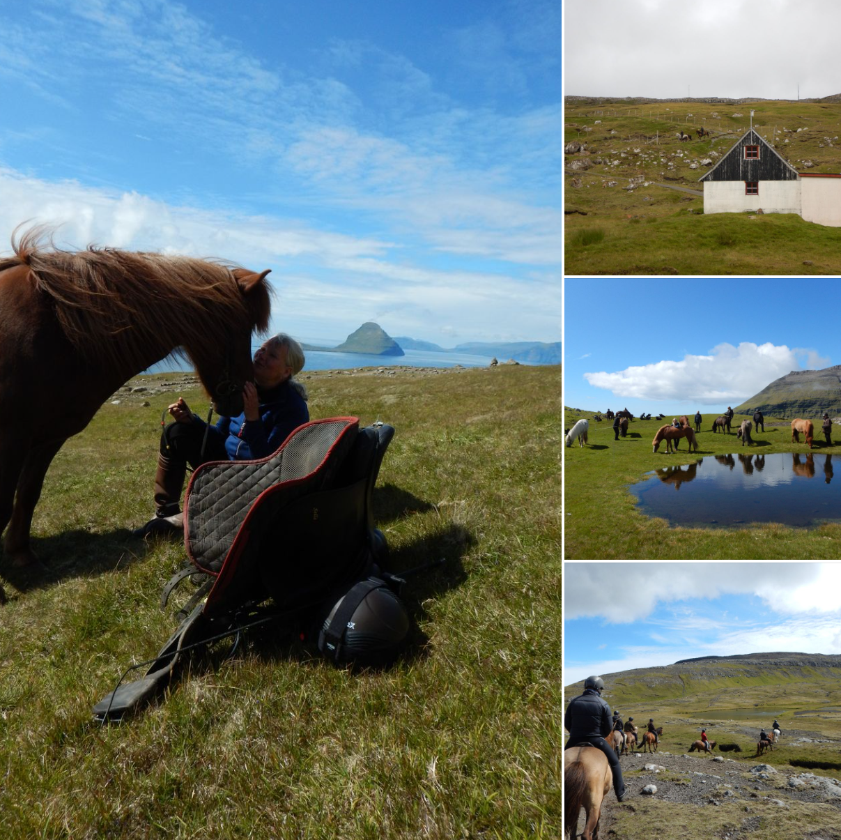 Oplev Færøerne på hesteryg