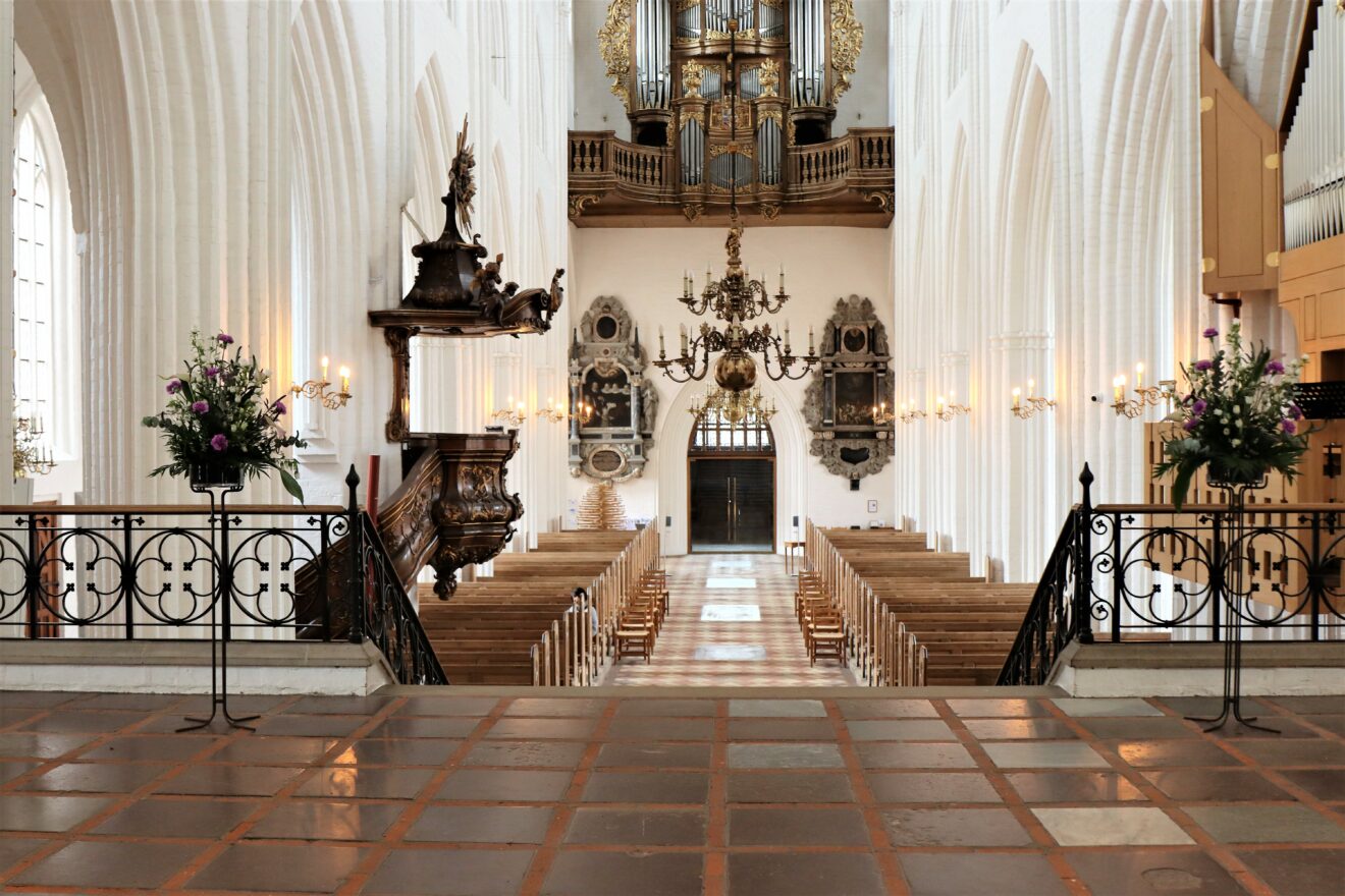 Advents og julematiné i Odense Domkirke