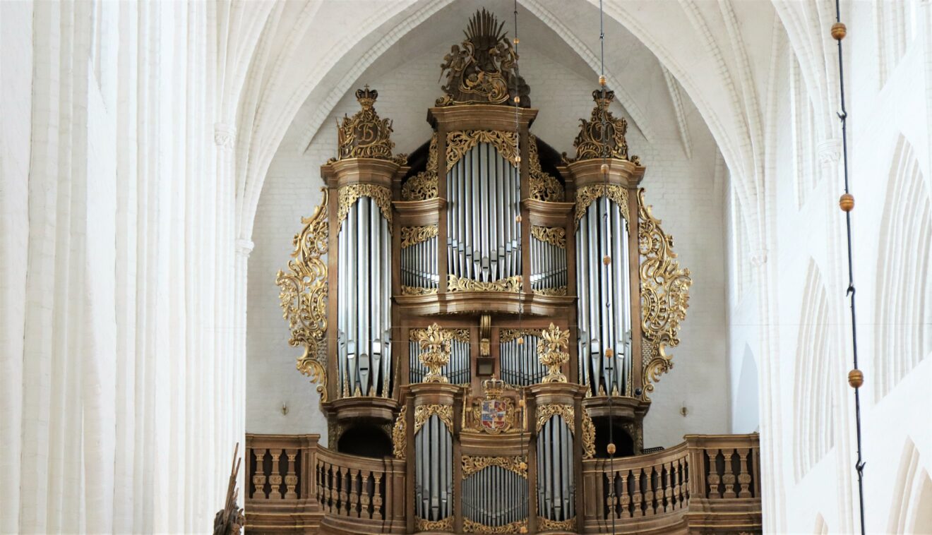 Orgelkoncert i Odense Domkirke