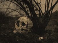 realistic side view skull with branches looking away. High resolution photo