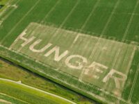 Tue Greenfort, HUNGER, 2009. Exhibition: Land, art in de Zeeuwse Wilhelminapolder, Hongersdijk, Holland.
Photo: Sky Pictures Luchtfotografie, Amsterdam.