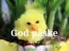 God Påske til jer alle!